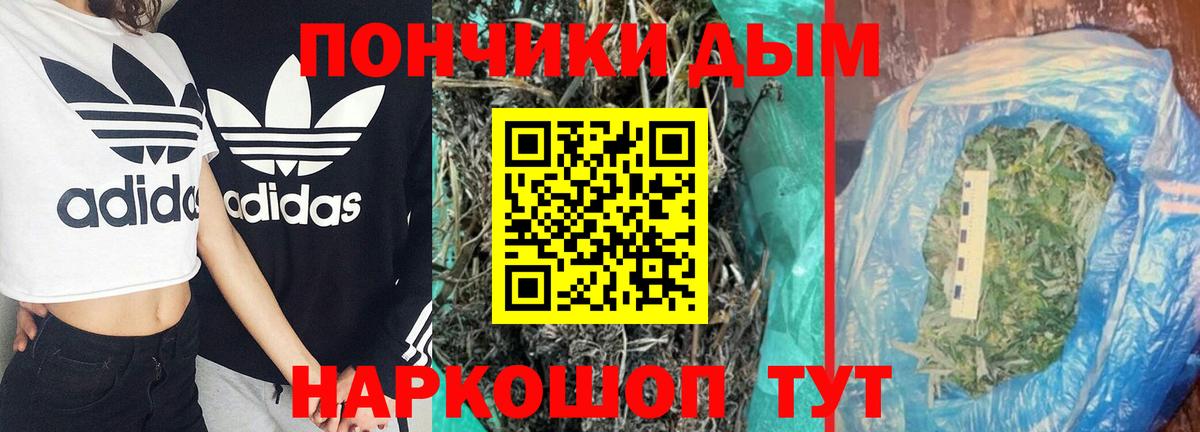 Бошки Шишки план Янаул